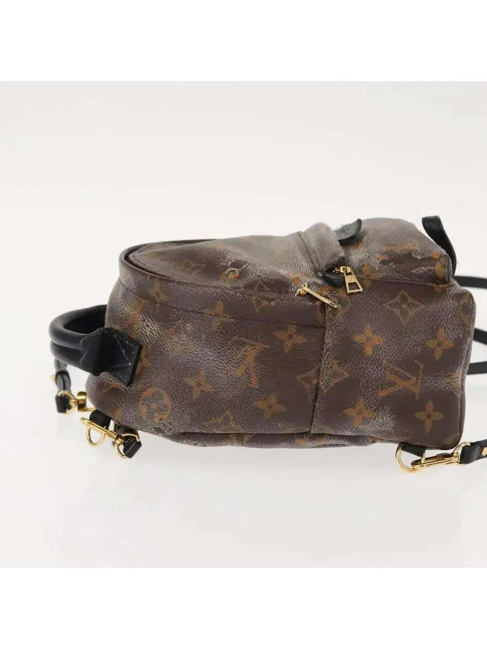 Louis Vuitton Palm Springs Mini #344439L69B